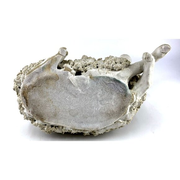 Spaghetti Sheep Sculpture Figurine Shelf sitter Hand Crafted 9" Long Vintage - Picture 7 of 7